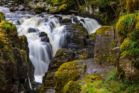 Excursão ao bosque Hermitage e Dunkeld